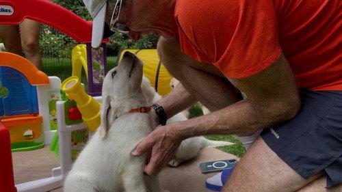 60 Minutes Season 55 Episode 25 - 3/12/2023: Tales of our Four-Legged Friends