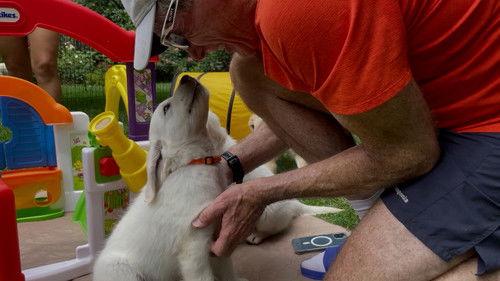 60 Minutes Season 55 Episode 25 - 3/12/2023: Tales of our Four-Legged Friends