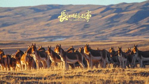 食贫道 Season 11 Episode 1 - 【长江吃饭故事·先导片】穿越6300公里，长江的第一滴水从这里流下，故事也将从这里开始