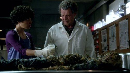 Fringe Season 4 Episode 3 - Alone in the World