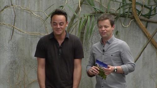 I'm a Celebrity...Get Me Out of Here! Season 12 Episode 13 - The Panic Rooms