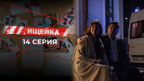 Bloodhound Season 7 Episode 14 - Episode 14