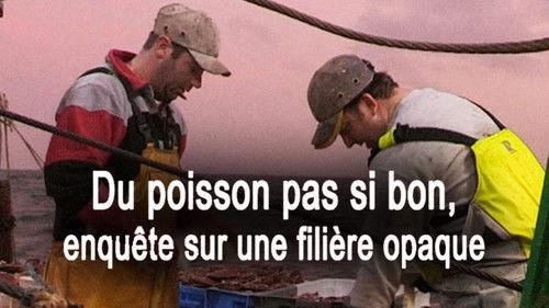 Le Doc du dimanche Season 7 Episode 21 - Episode 21