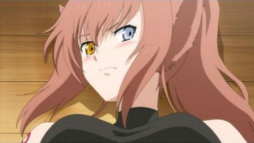 Dragon Crisis! Season 1 Episode 6 - Attack of the Wolf