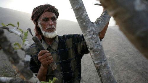 Sutherland's Law Season 2 Episode 1 - The Thirteenth Man