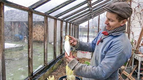 Frank & Kastaniegaarden Season 16 Episode 1 - Episode 1