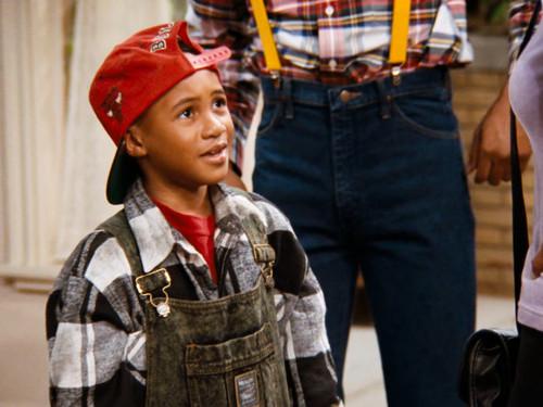 Family Matters Season 7 Episode 18 - My Big Brother