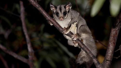 Little Giants Season 1 Episode 7 - Episode 7