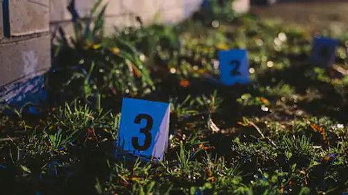 Tajemnice polskich morderstw Season 1 Episode 3 - Episode 3