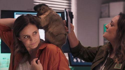 Tierärztin Dr. Mertens Season 8 Episode 5 - Episode 5