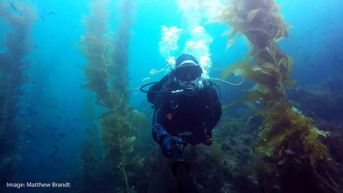 Zeroing In: Carbon Neutral 2050 Season 1 Episode 6 - Turning the Tide