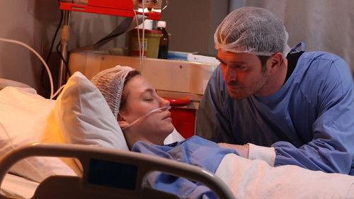 The Family Season 2 Episode 14 - Episode 27