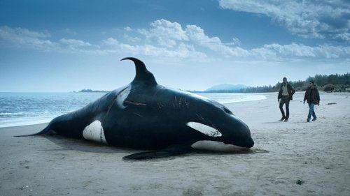 The Swarm Season 1 Episode 1 - Episode 1