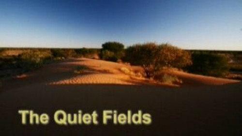 Meerkat Manor Season 2 Episode 13 - The Quiet Fields