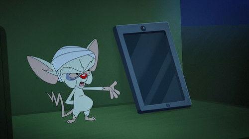 Animaniacs Season 1 Episode 15 - No Brainer