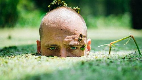 Background image for Louisiana