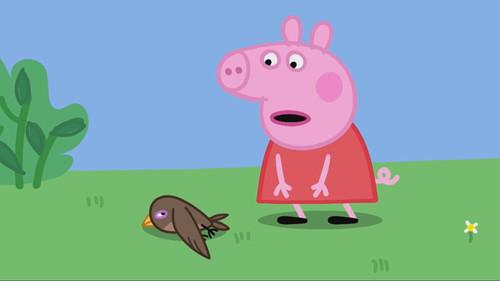 Peppa Pig Season 8 Episode 10 - Little Swift
