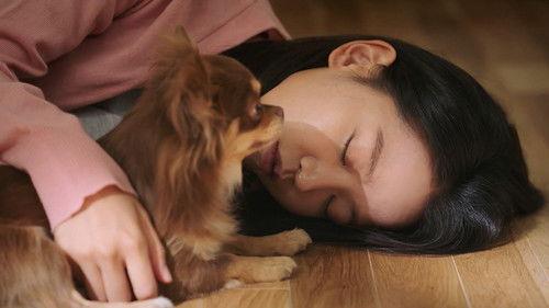 Still 17 Season 1 Episode 2 - Where Are My Uncle and Aunt?