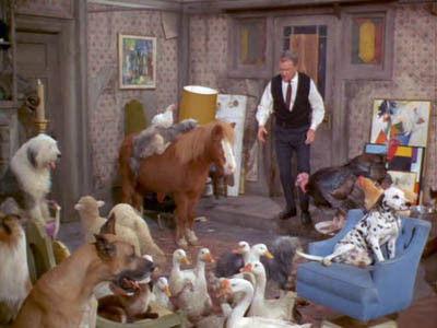 Green Acres Season 2 Episode 19 - It's Human to Be Humane