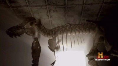 Life After People: The Series Season 1 Episode 4 - Heavy Metal