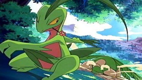 Pokémon Season 9 Episode 16 - Odd Pokémon Out!