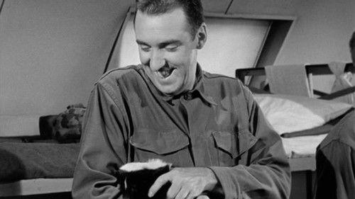 Gomer Pyle, U.S.M.C. Season 1 Episode 3 - Private Ralph Skunk