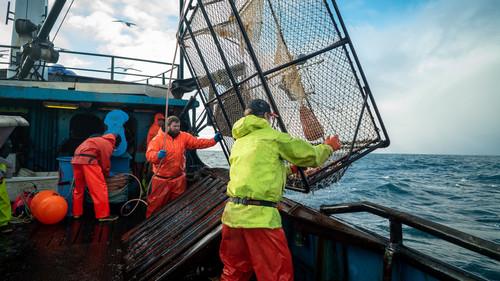 Deadliest Catch Season 18 Episode 17 - Operation Anvil Drop