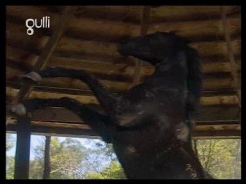 The Saddle Club Season 2 Episode 18 - Bloodlines