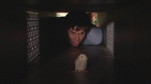 iCarly Season 1 Episode 16 - iHatch Chicks