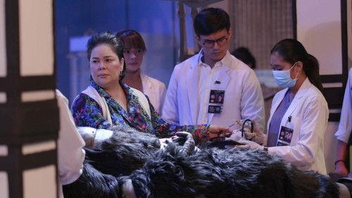 The Cure Season 1 Episode 1 - Pilot