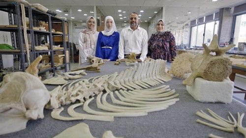 Background image for Secrets of the Terror Whale