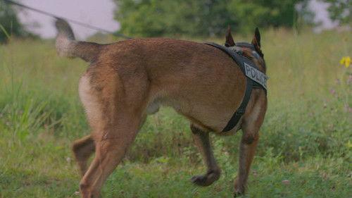 Criminal Confessions Season 2 Episode 12 - Grove City, OH