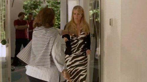 Gooische Vrouwen Season 1 Episode 1 - Het feest