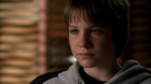 Without a Trace Season 5 Episode 1 - Stolen