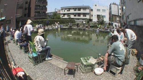 Document 72 Hours Season 10 Episode 19 - Catching Goldfish at a Fishing Pond in Tokyo