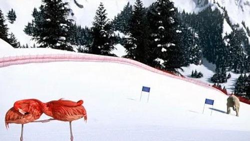 Athleticus Season 2 Episode 4 - Episode 4