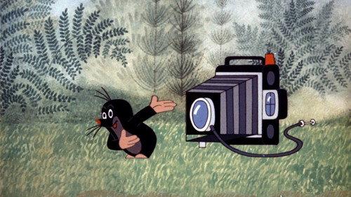 The Adventures of the Mole Season 1 Episode 21 - The Mole as Photographer