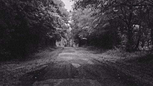 Killer Cases Season 1 Episode 4 - Murder on the Gulf Coast