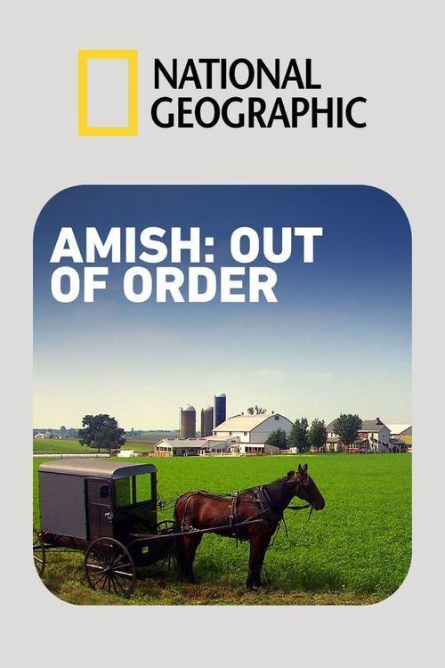 Amish: Out of Order poster