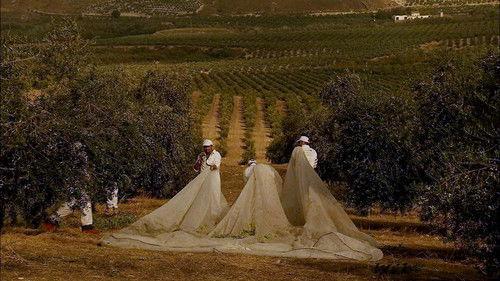 Cocina2 Season 1 Episode 9 - Episode 9