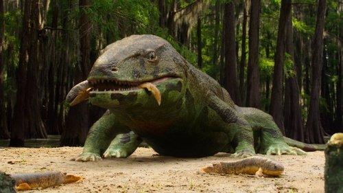 Background image for Chapter 1: The Rules of Life