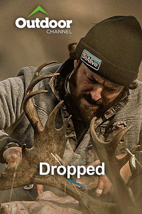 Dropped poster