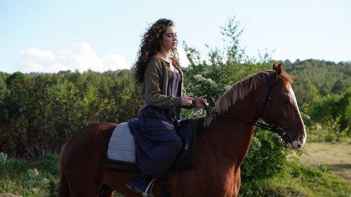 The Nightfall Season 1 Episode 1 - Episode 1