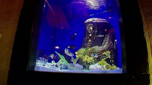 Tanked Season 3 Episode 3 - Groovy Sarcophagus, Man