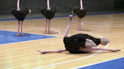 Athleticus Season 1 Episode 23 - Episode 23