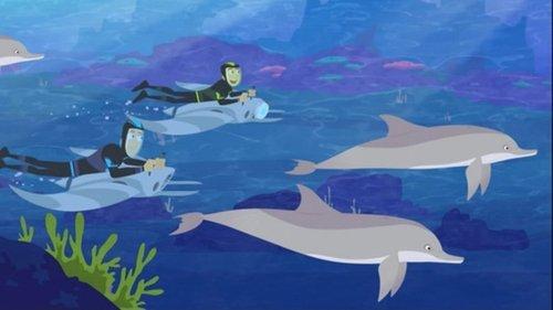 Wild Kratts Season 2 Episode 8 - Speaking Dolphinese