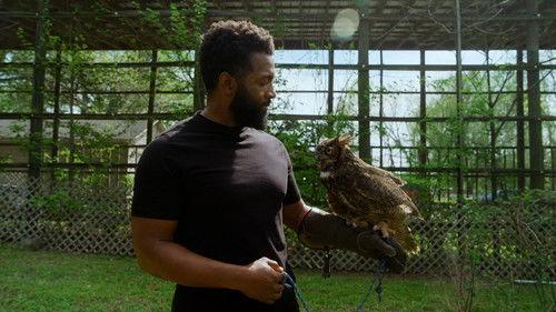 America Outdoors with Baratunde Thurston Season 2 Episode 2 - Arkansas: Hidden Gems