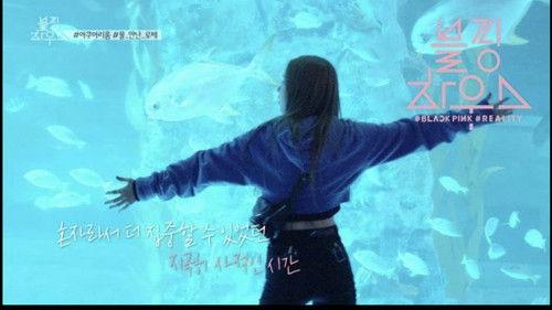 BLACKPINK HOUSE Season 1 Episode 40 - (BLACKPINK HOUSE)’ EP.8-5