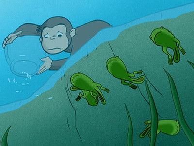 Curious George Season 1 Episode 19 - Curious George Discovers the Poles