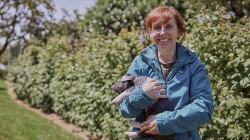 Background image for Episode 2